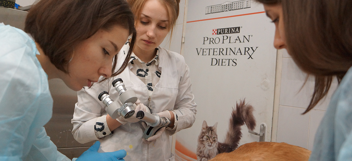 24-25 февраля  2018 г.  в ИВЦ МВА прошел курс «Ветеринарная офтальмология. Базовый»