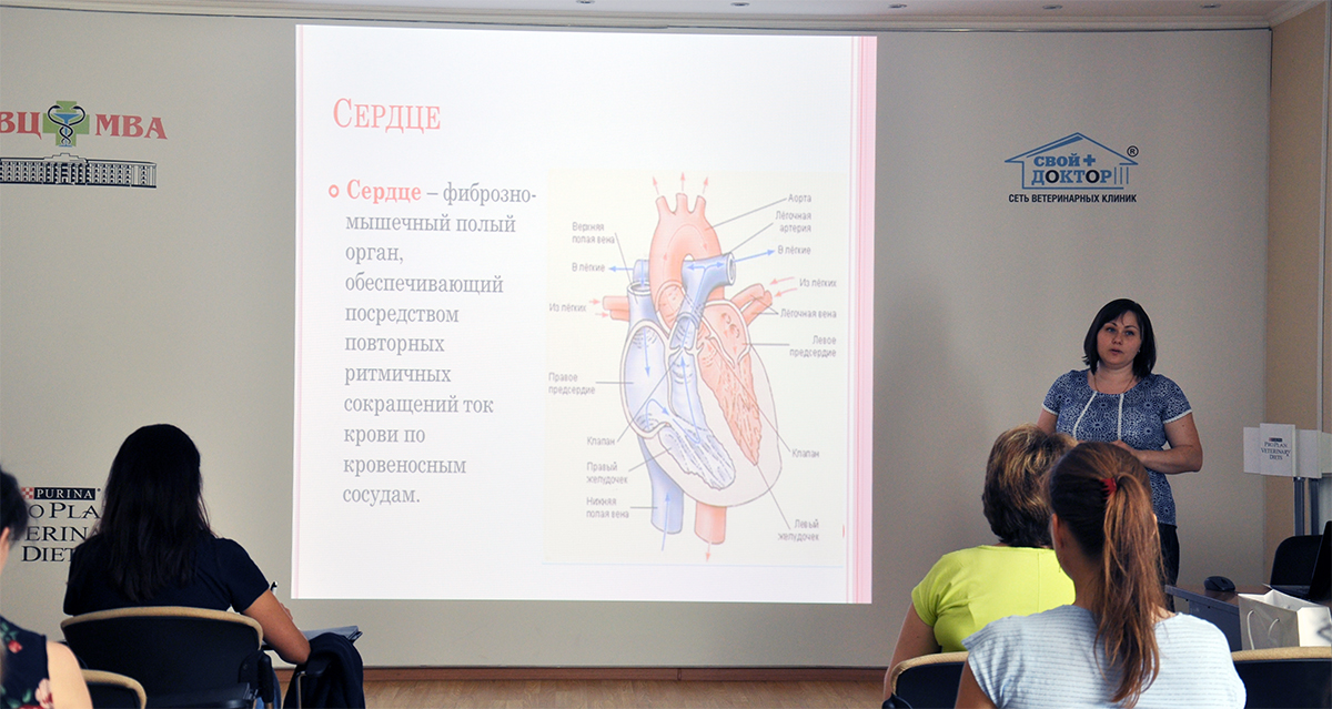 3 июля  в ИВЦ МВА закончился курс «Основы ветеринарной кардиологии. Модуль 1-базовый уровень» в формате интенсив