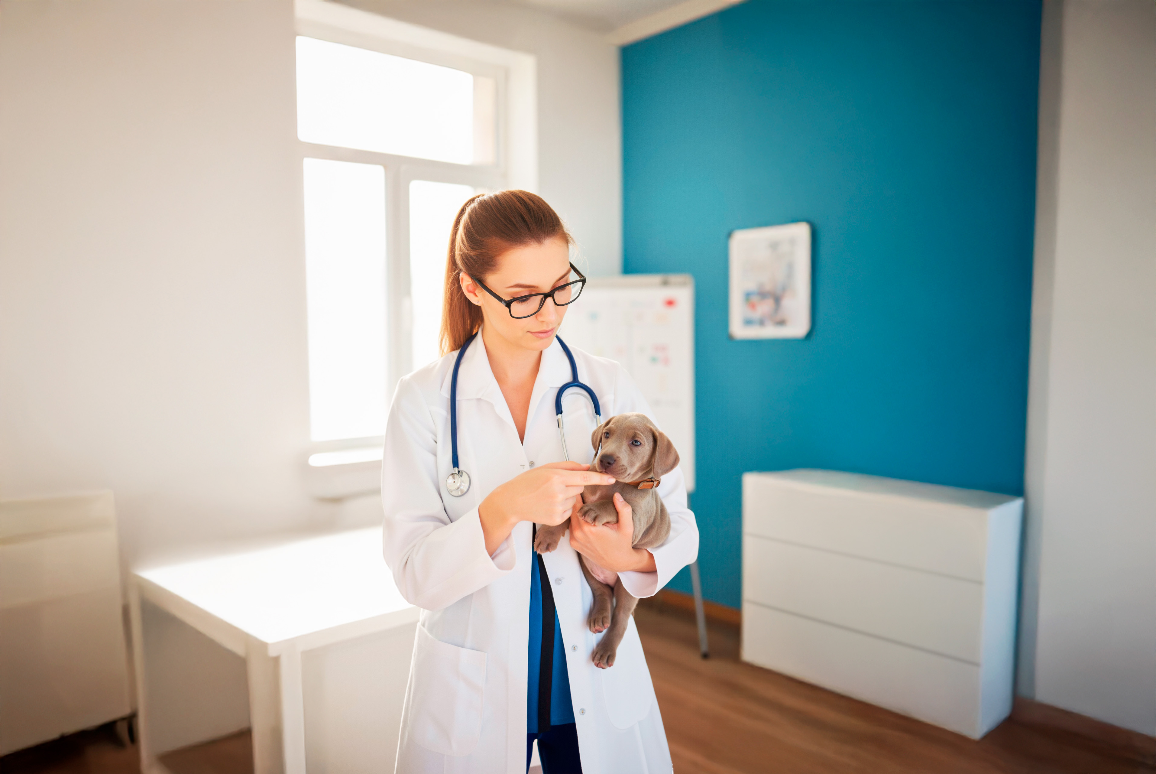 Факультет менеджмента в зообизнесе