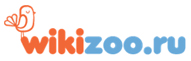 Учебно-практическая база компании WIKIZOO.ru