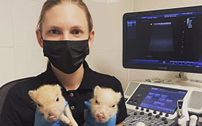 Онлайн конференция «УЗИ»