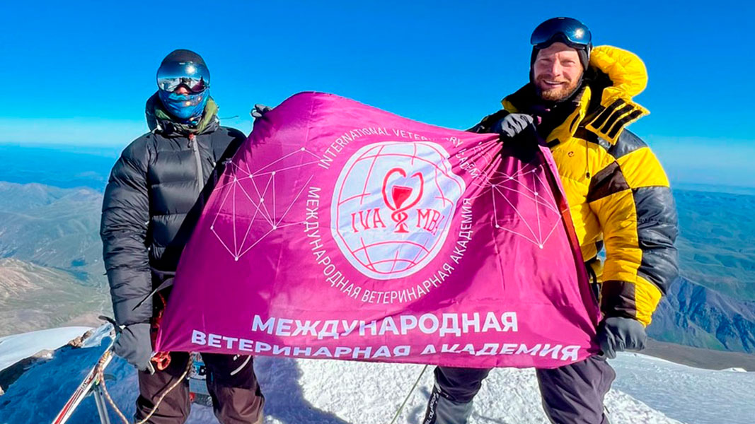 Флаг МВА поднят на вершине Эльбруса