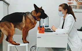 Онлайн конференция «Инфекционные болезни/Лабораторная диагностика»