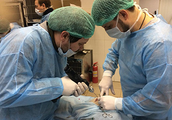 Новая программа обучения современной травматологии и ортопедии  под руководством  Акимова А.В. на базе ИВЦ МВА
