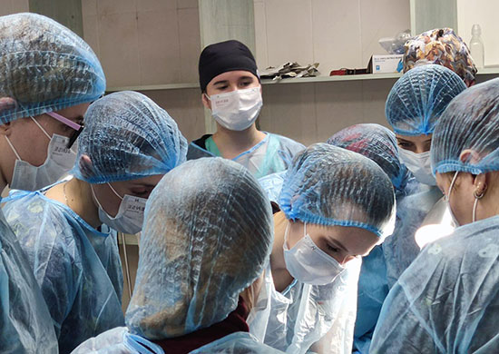 На базе Международной ветеринарной академии завершился цикл мастер-классов по хирургии