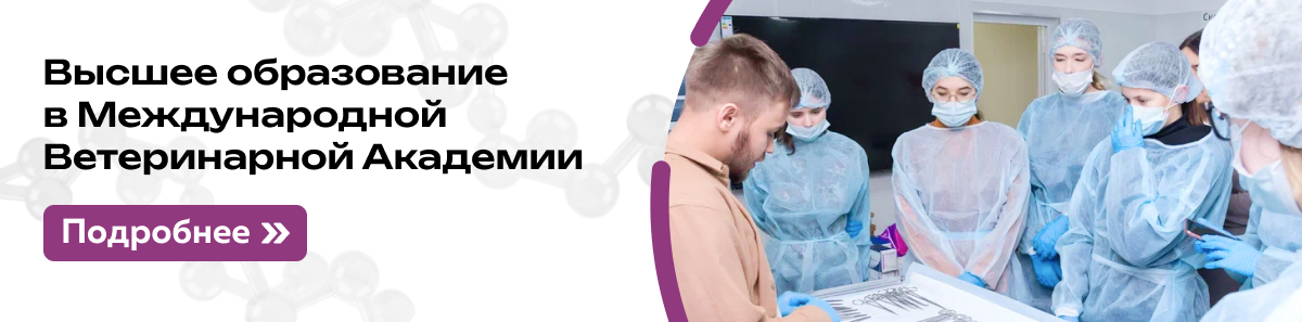 ПредУниверсарий 2026