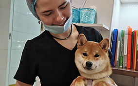 Онлайн конференция «Интенсивная терапия»