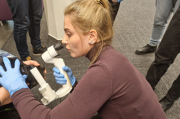 В Учебном центре Международной Ветеринарной Академии прошла серия обучающих курсов по офтальмологии 