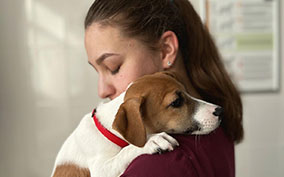 Онлайн конференция «Кардиология»