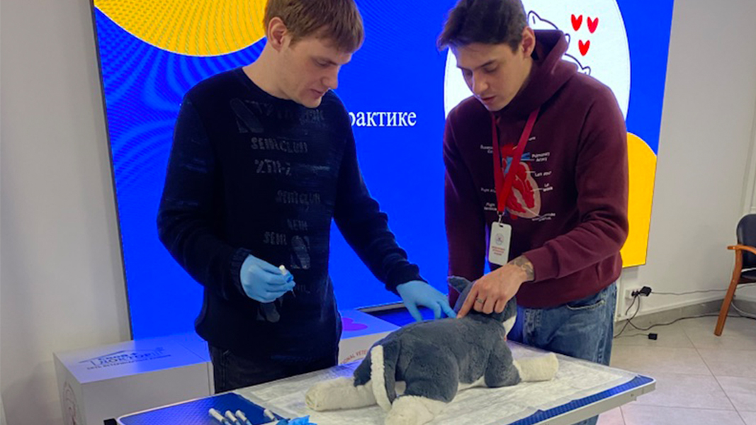 День открытых дверей в MBA