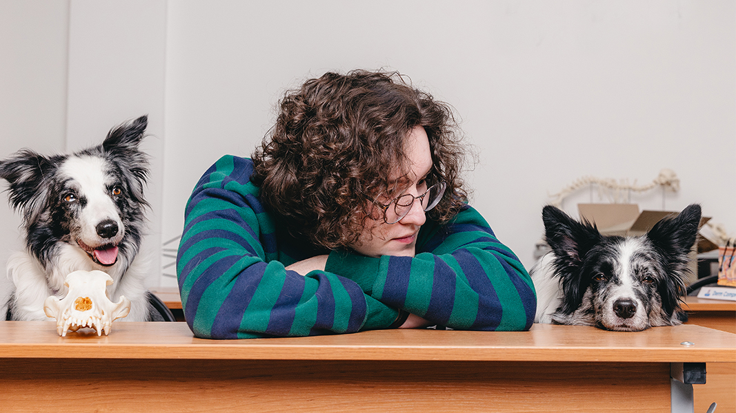 Опубликованы правила приема на 2026/2027 учебный год