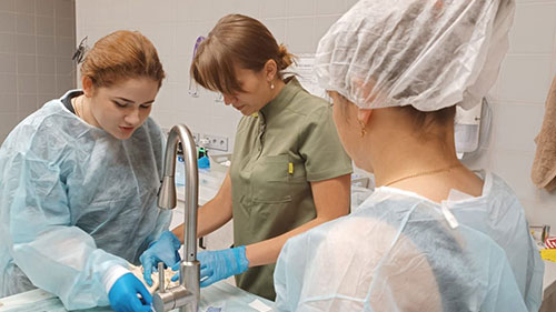 22-24 сентября 2022 г.  в г. Хабаровск прошли мастер-классы по регионарной анестезии