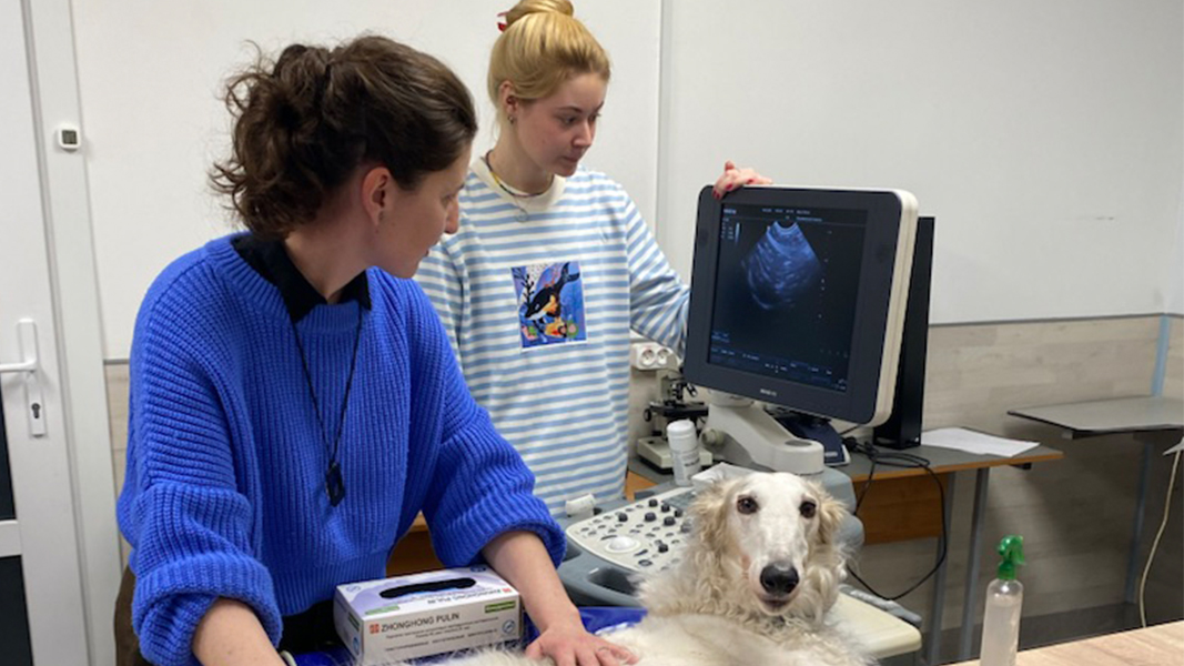 Как прошёл День открытых дверей в Международной Ветеринарной Академии