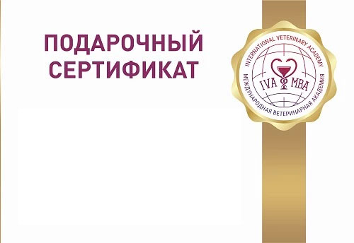 Подарочные сертификаты учебного центра МВА