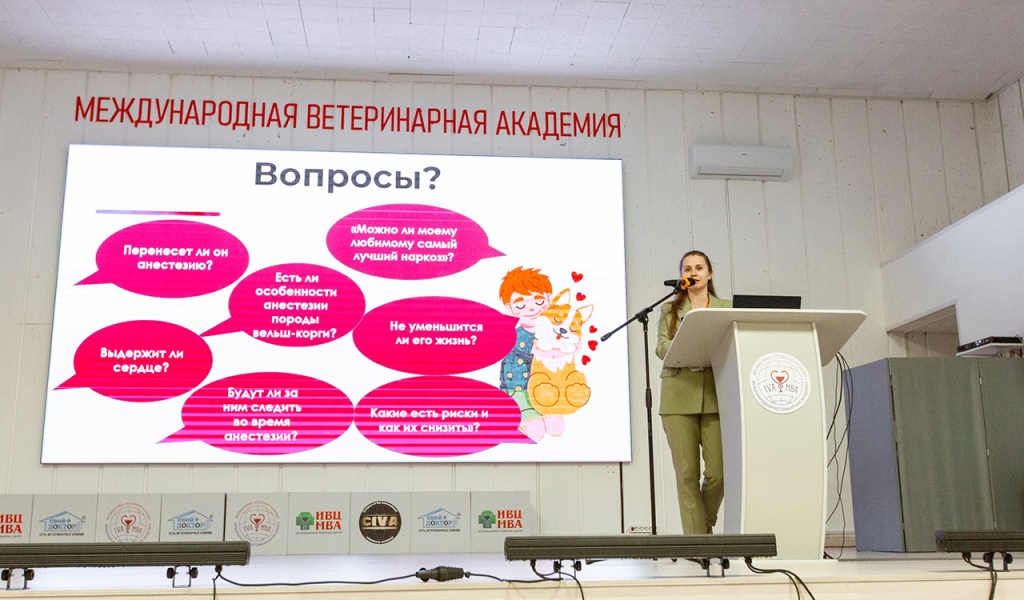 Монопородная междисциплинарная конференция корги - как это было