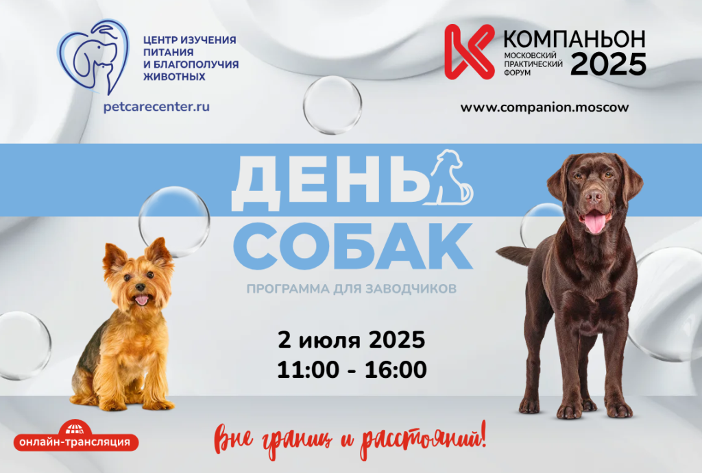 День собак. Программа для заводчиков