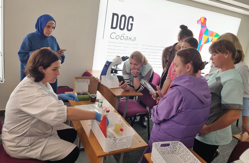 Лабораторная диагностика – специальность востребованная в ветеринарной отрасли
