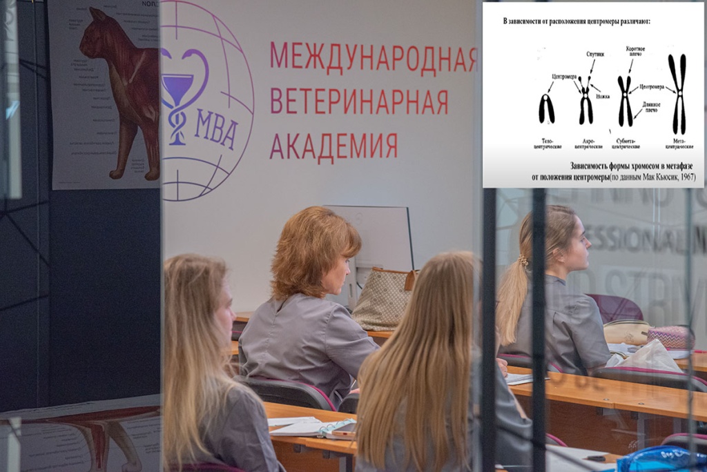 Дюсенова Роза Джангельдиевнапреподаватель дисциплины «Основы генетики и разведения»