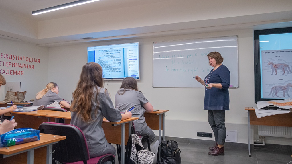 Рогоцкая Ирина Анатольевна - преподаватель по английскому языку.