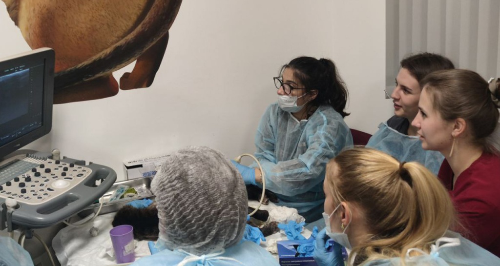 Уникальные образовательные проекты МВА