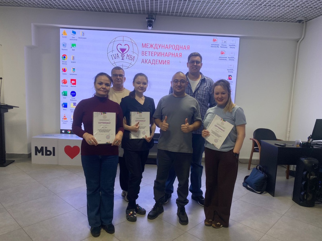 Итоги ноября