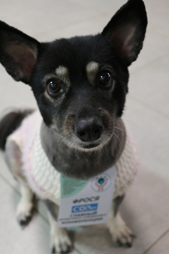 Конференция АНО «СОВет»