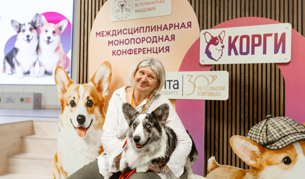 Монопородная междисциплинарная конференция корги - как это было