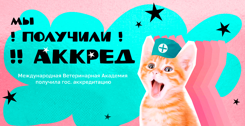 Почему аккредитация так важна для Международной Ветеринарной Академии?