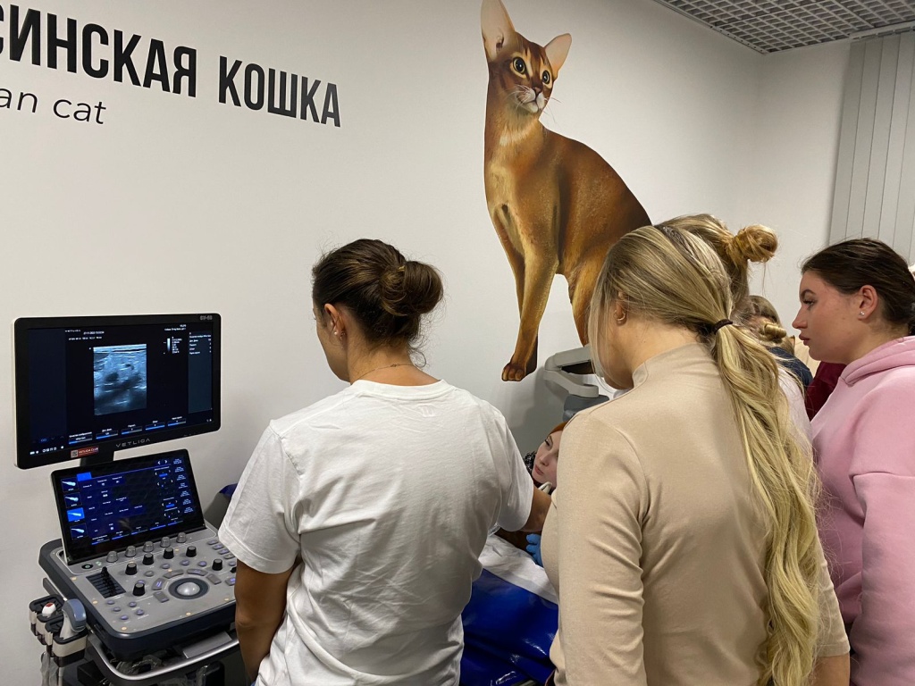 Итоги ноября