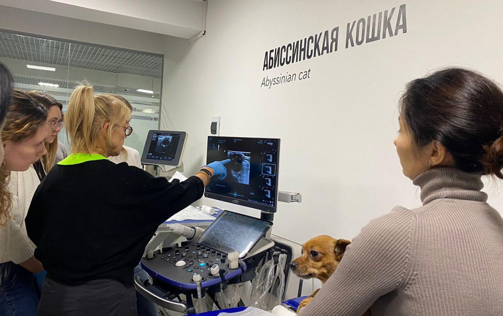 В  Центре образования МВА завершился специализированный мастер-класс по ультразвуковой диагностике в ветеринарной офтальмологии