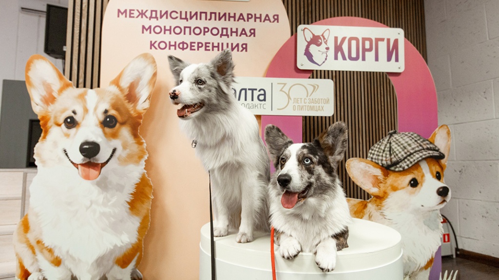 Монопородная междисциплинарная конференция корги - как это было
