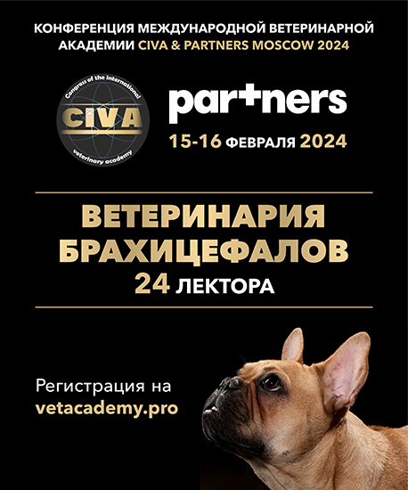 15-16 февраля CIVA PARTNERS-2024. Ветеринарии брахиоцефалов 