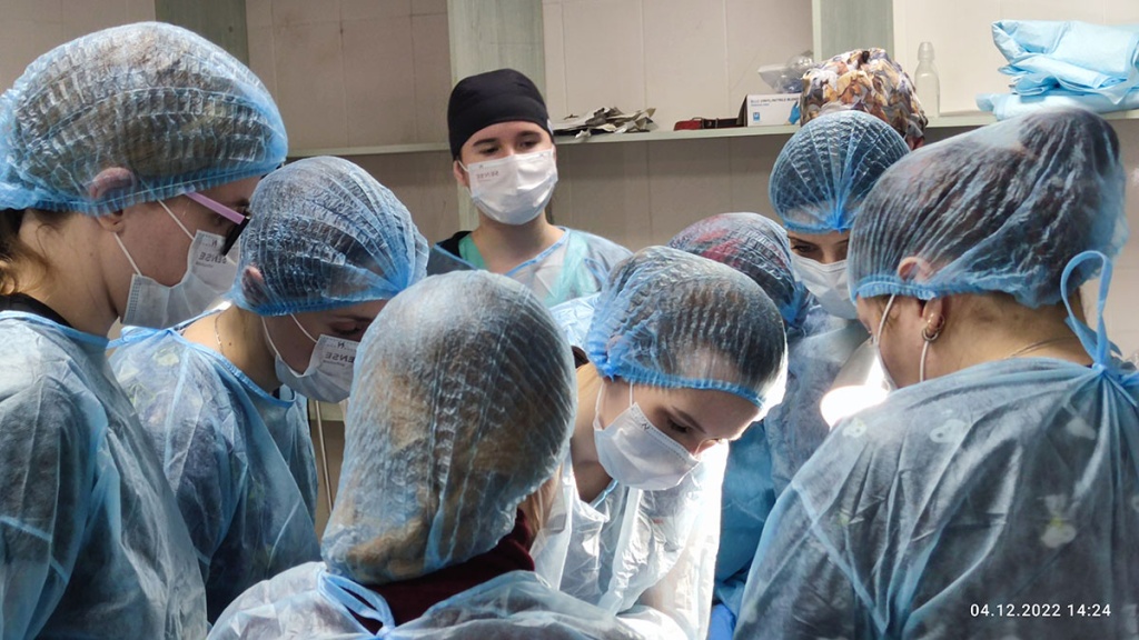 На базе Международной ветеринарной академии завершился цикл мастер-классов по хирургии
