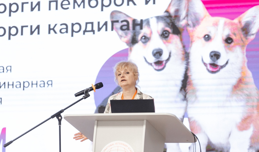 Монопородная междисциплинарная конференция корги 