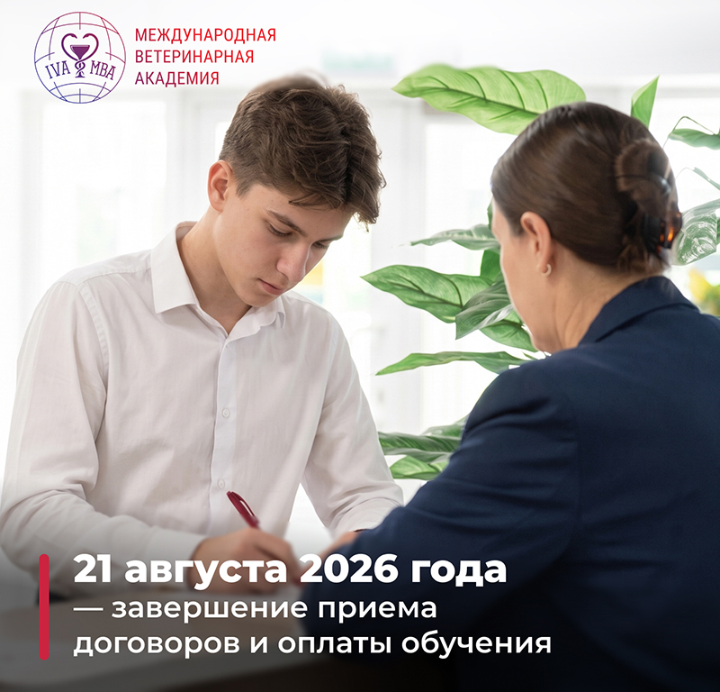Важная информация о заключительном этапе приемной кампании Важная информация о заключительном этапе приемной кампании