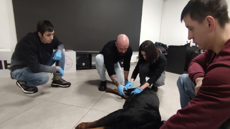 Ветеринарные врачи прошли курсы повышения квалификации по травматологии и ортопедии