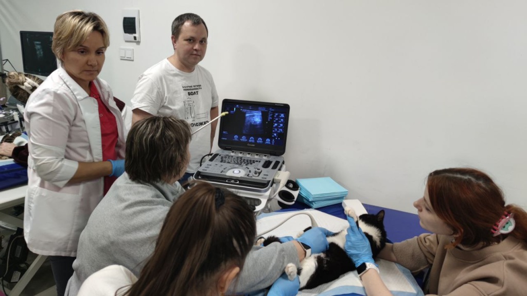 Курс повышения квалификации для ветеринарных врачей «Узи – интенсив – от нуля до специалиста» Курс повышения квалификации для ветеринарных врачей «Узи – интенсив – от нуля до специалиста»