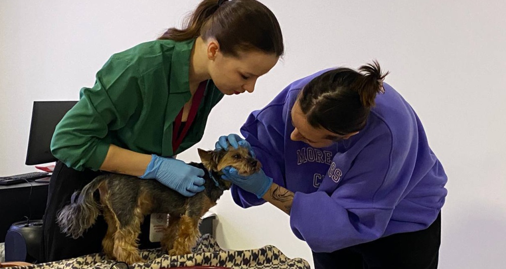 Уникальные образовательные проекты МВА