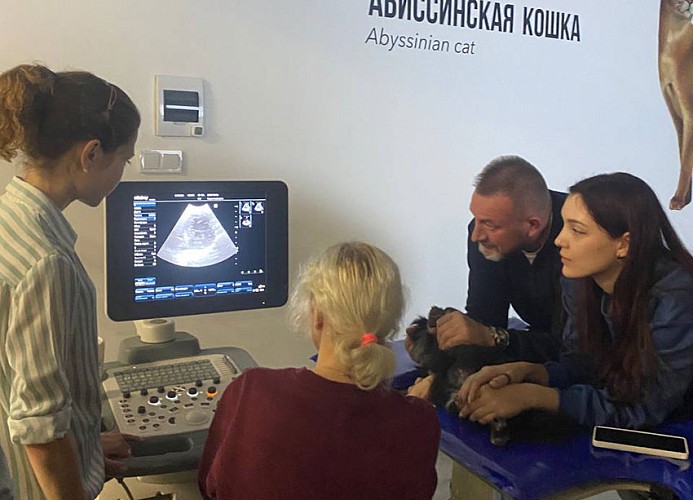 29-30 ноября 2025 Основы эхокардиографии для врачей общей практики