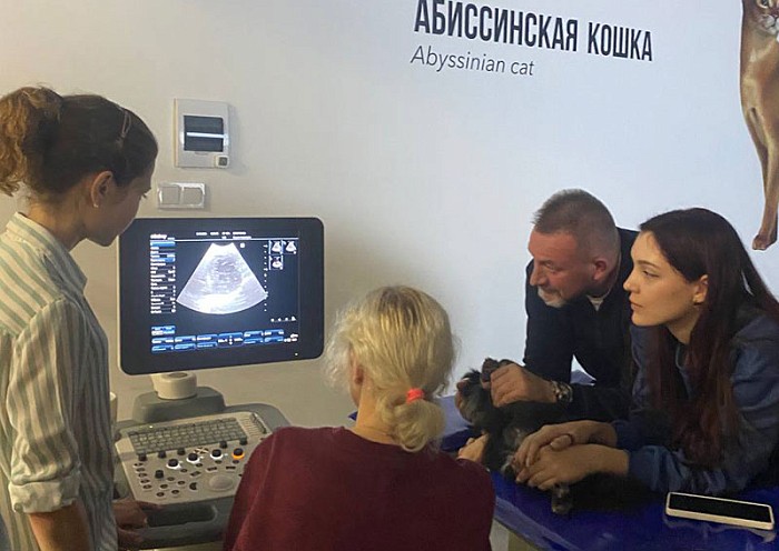 Мастер-класс, посвященный методике проведения эхокардиографии собак и кошек