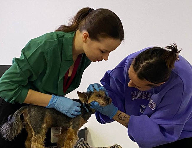 Уникальные образовательные проекты МВА