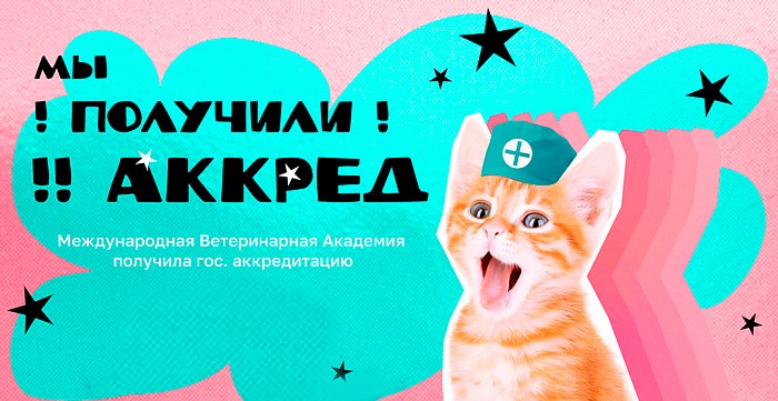 Почему аккредитация так важна для Международной Ветеринарной Академии?